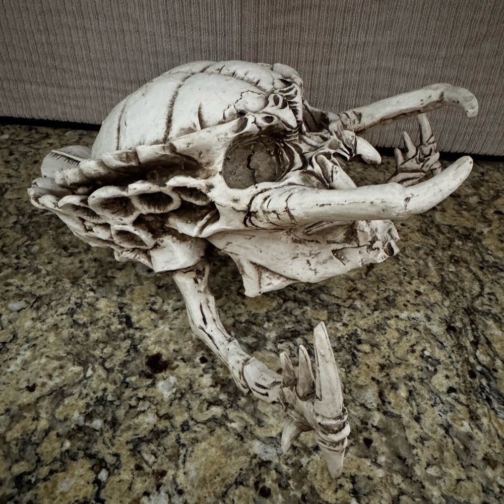 Predator skull Yautja Trophy from Alien vs. Predator and Predator movies Resin - Picture 2 of 10
